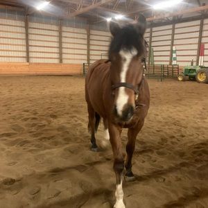 Meet your Posher, Stacy